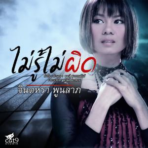 Listen to ไม่รู้ไม่ผิด song with lyrics from จินตหรา พูนลาภ