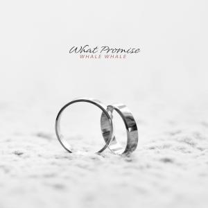 흰수염고래的专辑What Promise