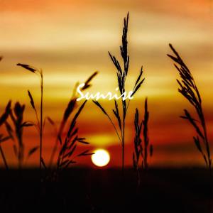 Listen to Sunrise (Sunrise) song with lyrics from Crisis