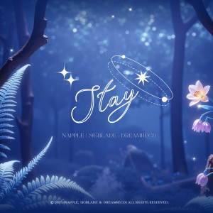 Album Stay from Napple