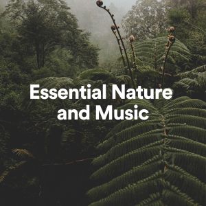 收聽Essential Nature Sounds的Essential Nature and Music, Pt. 38歌詞歌曲