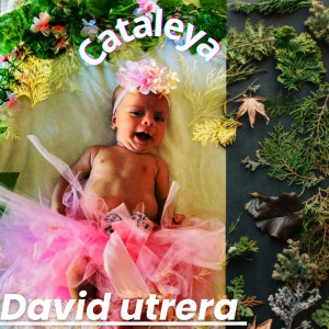 Listen to Cataleya song with lyrics from David Utrera