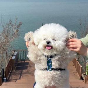 Listen to ไปกับเค้า (Explicit) song with lyrics from Lil S