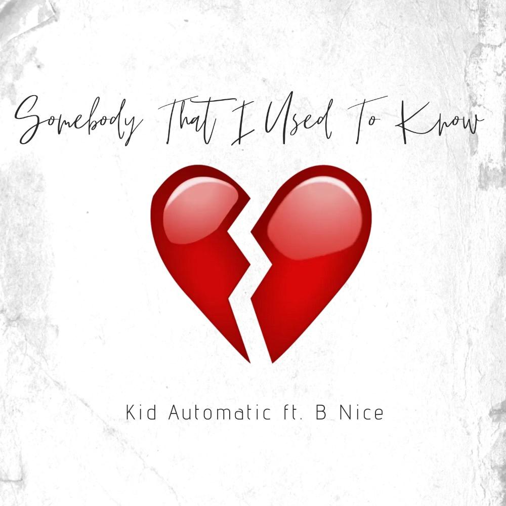 Somebody That I Used To Know (feat. BNice) (Explicit)