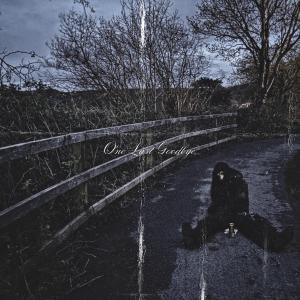 收聽IDIO的ONE LAST GOODBYE [PROD. IDIO] (Explicit)歌詞歌曲