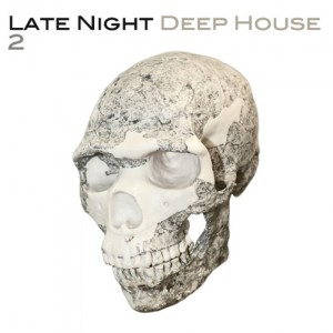 收听Mustafa Gedik的Lightbringer (G-Mohris & Hassan Rassmy Remix)歌词歌曲