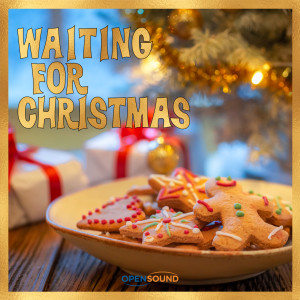 Album Waiting for Christmas (Music for Movie) from Silvio Piersanti