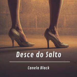 Listen to Desce do Salto (Explicit) song with lyrics from Canela Black