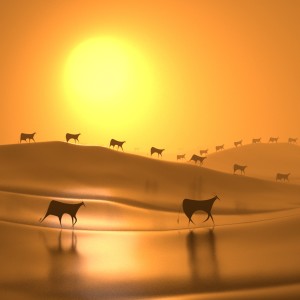 ดาวน์โหลดและฟังเพลง TED พร้อมเนื้อเพลงจาก Village of the Sun