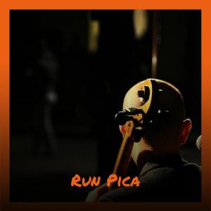 Album Run Pica oleh Various