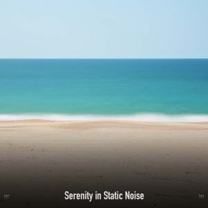 White Noise的专辑!!!!" Serenity in Static Noise "!!!!