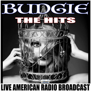 Dengarkan Wildfire lagu dari Budgie dengan lirik