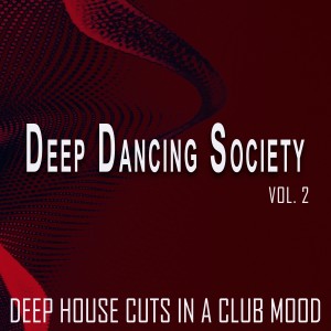 Listen to People More Evolved (More Mix) song with lyrics from Davidson Hurley