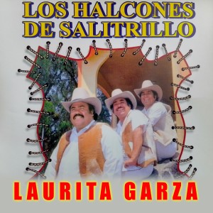 ดาวน์โหลดและฟังเพลง El Último Cartucho พร้อมเนื้อเพลงจาก Los Halcones De Salitrillo