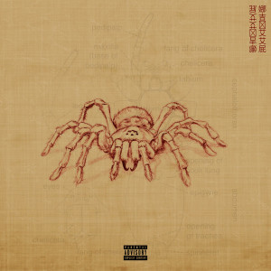 Listen to Shanzu (Explicit) song with lyrics from TEC & Maine Musik