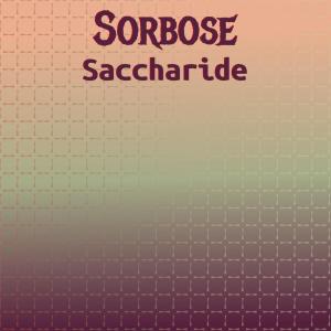 อัลบัม Sorbose Saccharide ศิลปิน Various