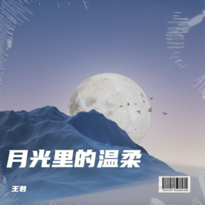 Listen to 月光里的温柔 (完整版) song with lyrics from 王君