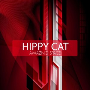 收聽Hippy Cat的Amazing Space歌詞歌曲