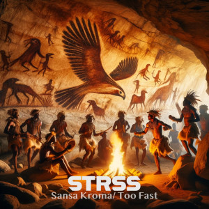 Album Sansa Kroma / Too Fast from STRSS