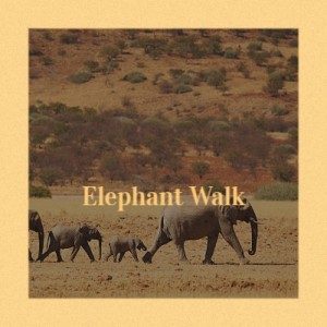 收聽Art Blakey的Elephant Walk歌詞歌曲