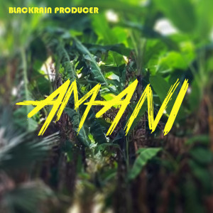 Listen to Amani song with lyrics from Blackrain Producer