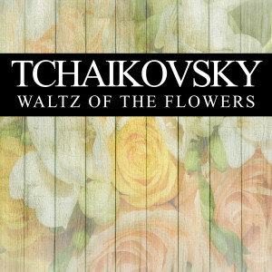 收聽Peter Ilyich Tchaikovsky的Waltz of the Flowers (The Nutcracker)歌詞歌曲