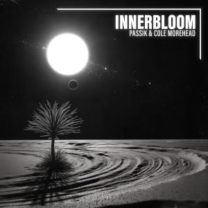 Album Innerbloom oleh PASSIK