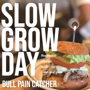 Listen to GROW FUNBURGER song with lyrics from Bull pain catcher