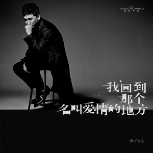 收聽沙寶亮的我回到那個名叫愛情的地方歌詞歌曲
