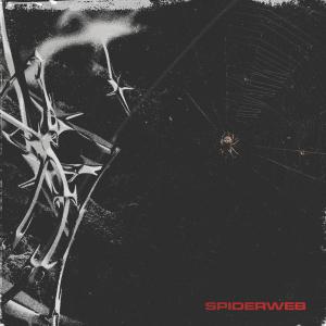 收聽Frontières的Spiderweb歌詞歌曲