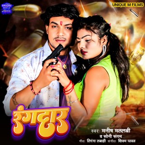 Listen to Rangdar song with lyrics from Manish Matlabi