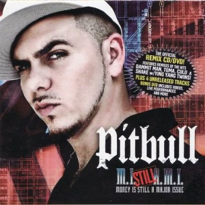 ดาวน์โหลดและฟังเพลง Dammit Man Remix พร้อมเนื้อเพลงจาก Pitbull