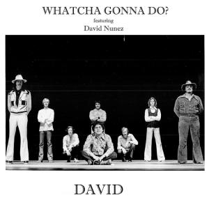 David Nunez的专辑Whatcha Gonna Do