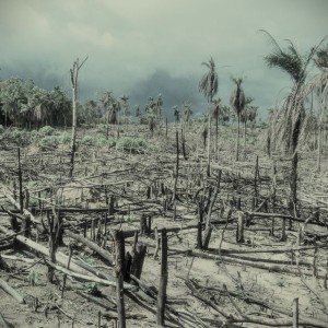 Baracuda的專輯my earth