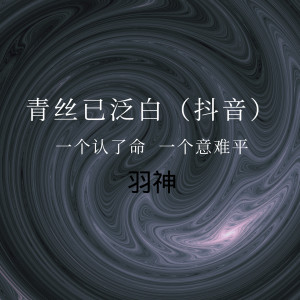 Album 青丝已泛白 (抖音热播版) oleh 羽神