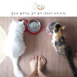 Listen to 집으로 들어가는 길이 좋아 song with lyrics from 현아