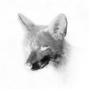 收聽Gregorythme的Swan Song歌詞歌曲