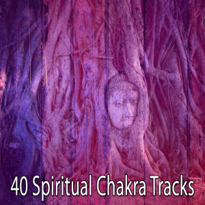 ดาวน์โหลดและฟังเพลง Acceptance พร้อมเนื้อเพลงจาก Yoga