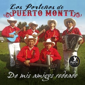 ดาวน์โหลดและฟังเพลง El Patito Blanco พร้อมเนื้อเพลงจาก Los Porteños de Puerto Montt
