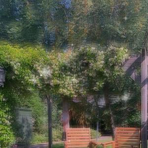 收聽randombrownkid.的flight or two. (Explicit)歌詞歌曲