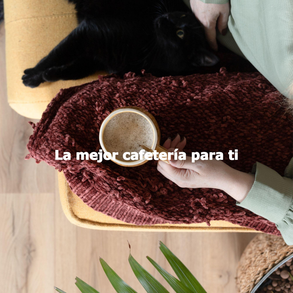 Fashionable Ambiance for Preparing Morning Coffee