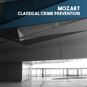 Listen to 6 Ländlerische Tänze, K. 606: III. Tanz No. 3 song with lyrics from Bratislava Chamber Orchestra