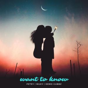 Album want to know (Explicit) from Petey