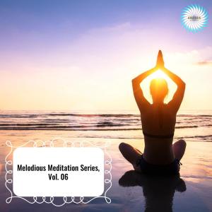Album Melodious Meditation Series, Vol. 06 from 