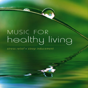 ดาวน์โหลดและฟังเพลง Water Voices พร้อมเนื้อเพลงจาก David Bradstreet