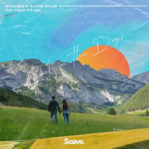 Listen to Back In The Days(feat. Lasso The Sun) song with lyrics from WildVibes