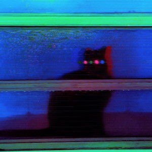 อัลบัม S/T ศิลปิน Matthew Bertram