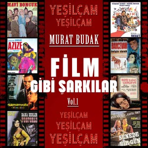 ดาวน์โหลดและฟังเพลง Senede Bir Gün พร้อมเนื้อเพลงจาก Murat Budak