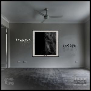 STANZA的專輯Dark Horse (feat. Shogun) [Explicit]