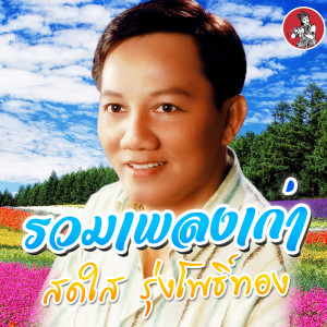 อัลบัม รวมเพลงเก่า สดใส รุ่งโพธิ์ทอง ศิลปิน สดใส รุ่งโพธิ์ทอง